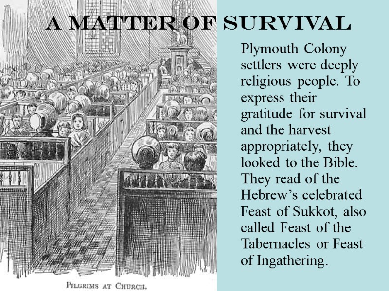 A Matter of Survival      Plymouth Colony settlers were deeply